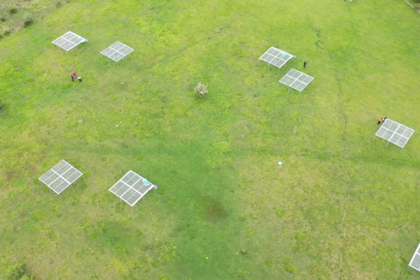 drone plot in Wytham Woods