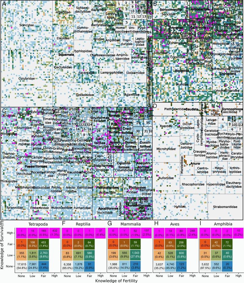 demographic knowledge across tetrapods conde et al 2019 pnas