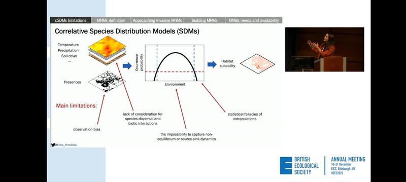 fig4erola2