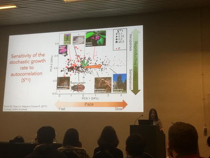 maria paniw presents our recent paper on vulnerability of animal and plant species to climate change credit r salguero gomez